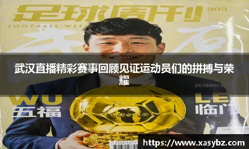 mk体育官网