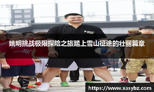 mk体育官网